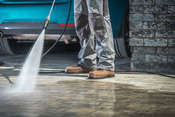 Best Residential Pressure Washing in Shannondale, WV