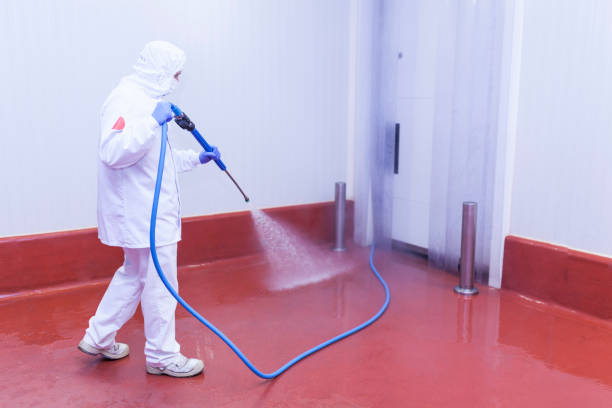 Professional Pressure Washing Services in Shannondale, WV
